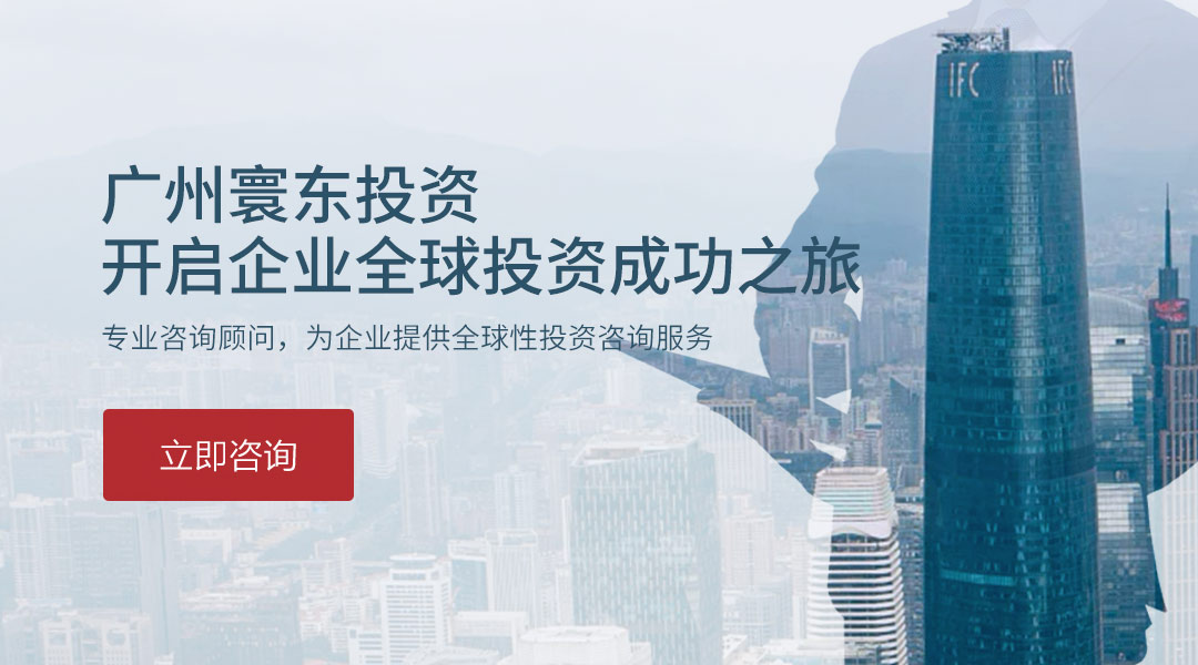 寰東投資